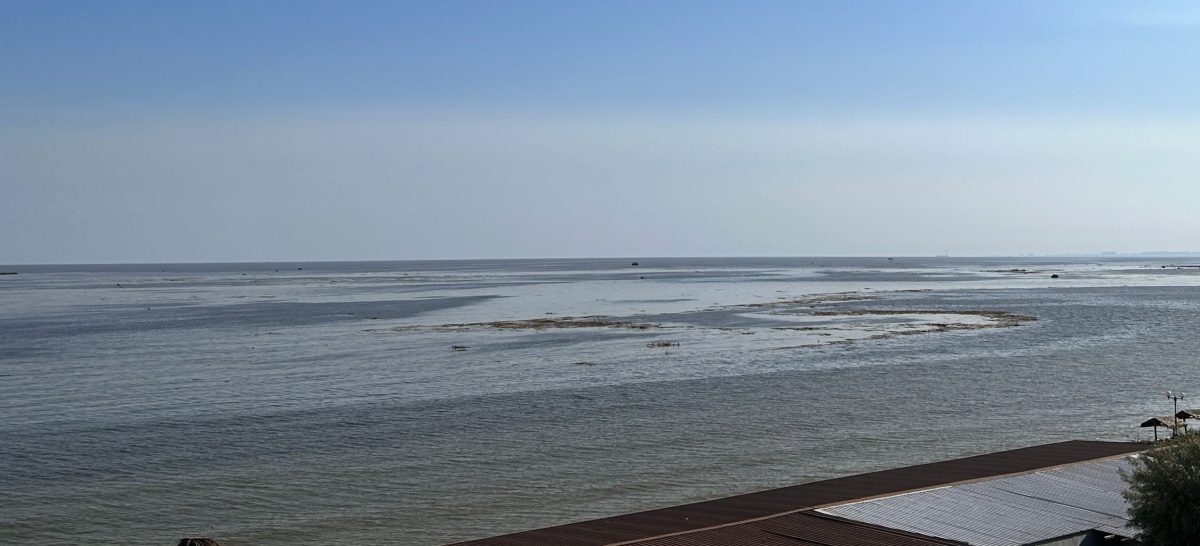 На Одещині моніторять морську воду: у пробах одного з населених пунктів Южненської громади  виявлено ротавірус