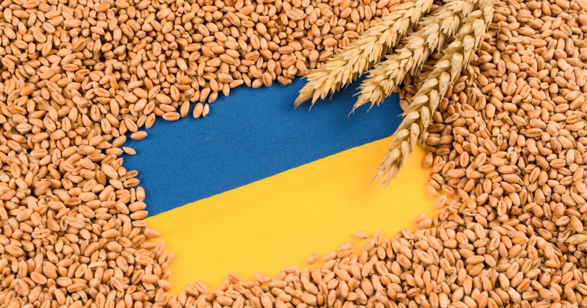 ООН дозволила доставити крадене українське зерно в Ємен