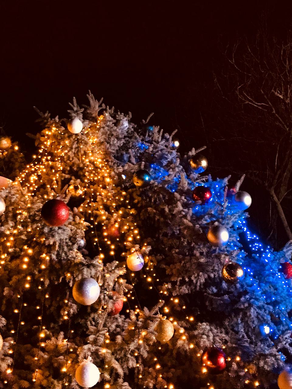 В Південному запалили новорічну ялинку та відзначили День святого Миколая