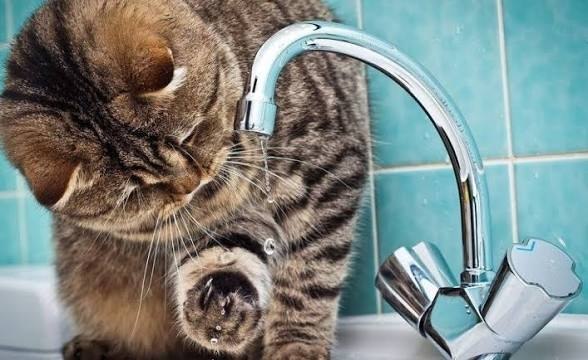 Сьогодні мешканці Південнівської громади до вечора залишаться без води