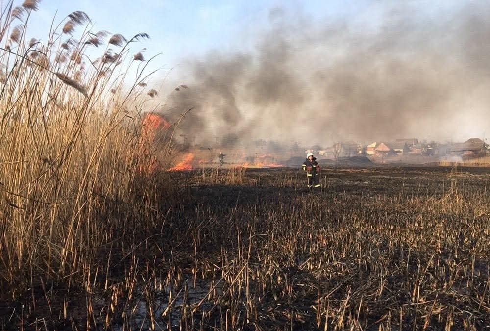 Південнівська міськрада нагадує про відповідальність за спалення сухої рослинності