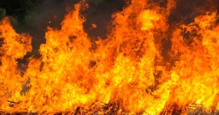 Біля Сичавки спалахнула пожежа, яку гасили 25 вогнеборців
